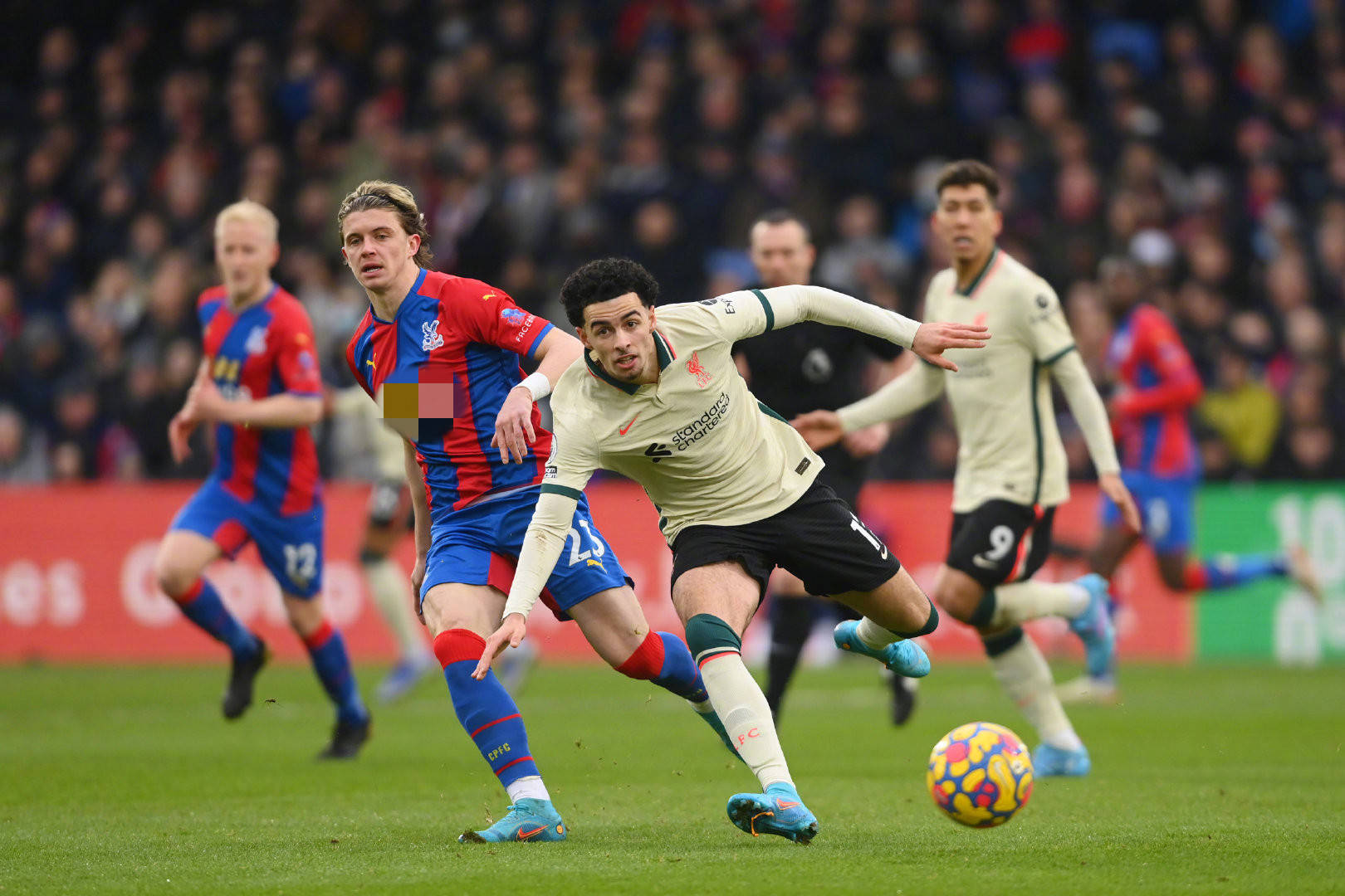 表现引人关 表现引人关